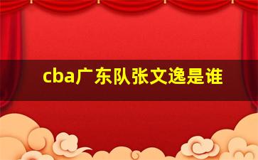 cba广东队张文逸是谁