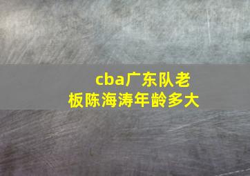 cba广东队老板陈海涛年龄多大