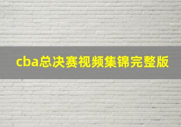 cba总决赛视频集锦完整版