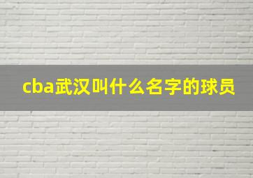 cba武汉叫什么名字的球员