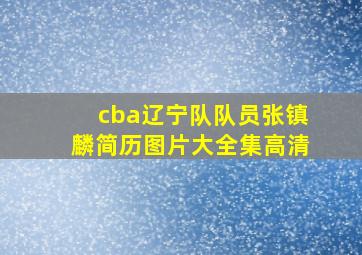 cba辽宁队队员张镇麟简历图片大全集高清