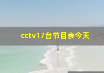 cctv17台节目表今天