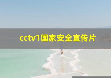 cctv1国家安全宣传片