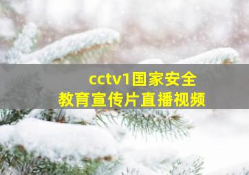 cctv1国家安全教育宣传片直播视频