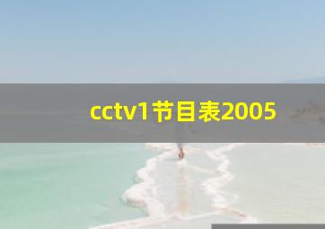 cctv1节目表2005