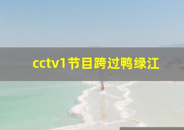 cctv1节目跨过鸭绿江