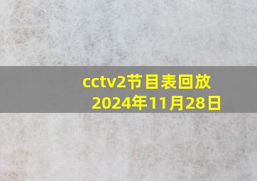 cctv2节目表回放2024年11月28日