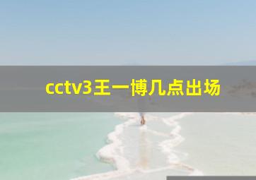 cctv3王一博几点出场