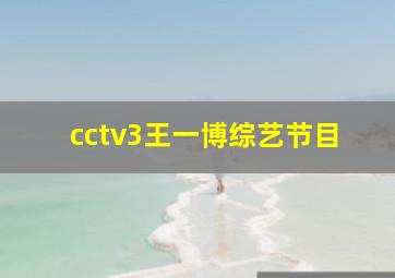 cctv3王一博综艺节目