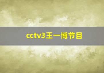 cctv3王一博节目