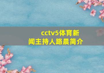 cctv5体育新闻主持人路晨简介