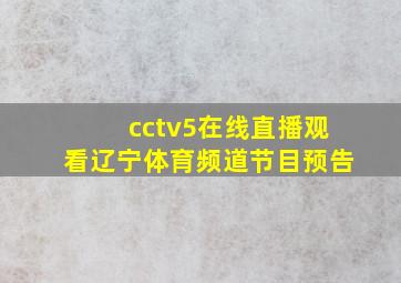 cctv5在线直播观看辽宁体育频道节目预告