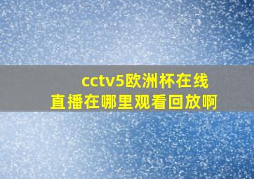 cctv5欧洲杯在线直播在哪里观看回放啊