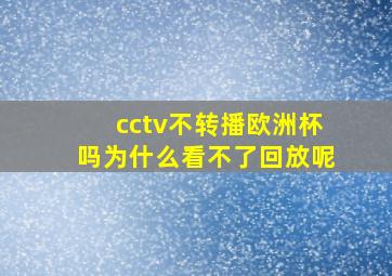 cctv不转播欧洲杯吗为什么看不了回放呢