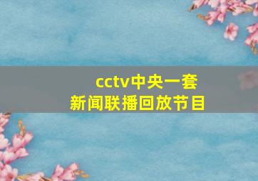 cctv中央一套新闻联播回放节目