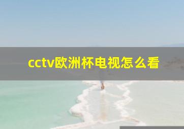 cctv欧洲杯电视怎么看