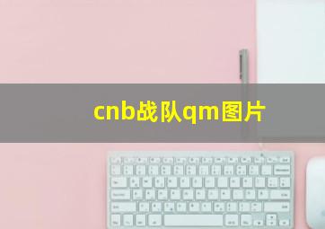 cnb战队qm图片