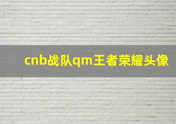 cnb战队qm王者荣耀头像