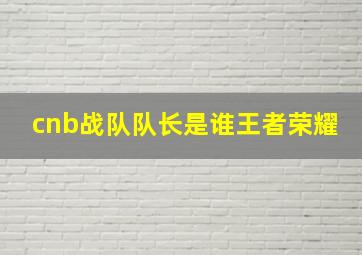 cnb战队队长是谁王者荣耀