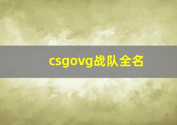 csgovg战队全名