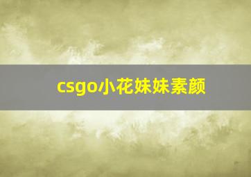 csgo小花妹妹素颜