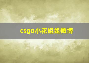 csgo小花姐姐微博