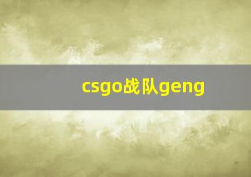 csgo战队geng