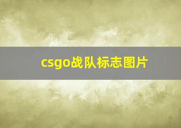 csgo战队标志图片