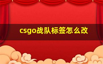 csgo战队标签怎么改