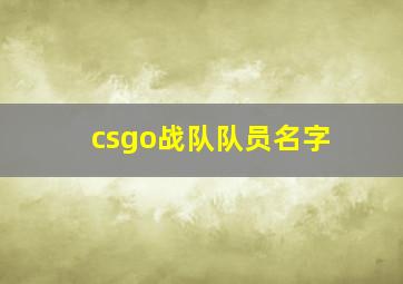 csgo战队队员名字