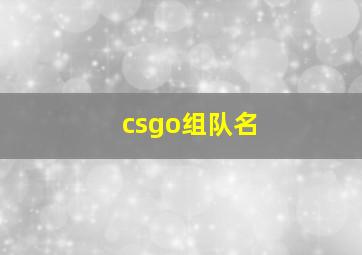 csgo组队名