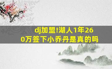 dj加盟!湖人1年260万签下小乔丹是真的吗