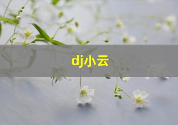 dj小云