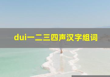 dui一二三四声汉字组词