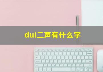 dui二声有什么字