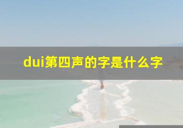 dui第四声的字是什么字