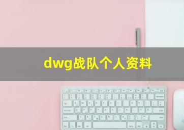 dwg战队个人资料