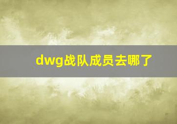 dwg战队成员去哪了