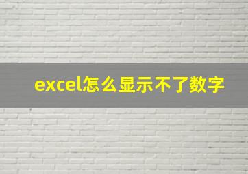 excel怎么显示不了数字