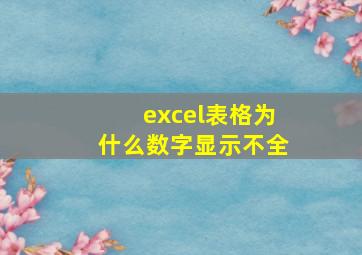 excel表格为什么数字显示不全