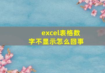 excel表格数字不显示怎么回事