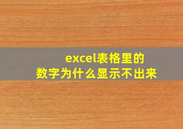 excel表格里的数字为什么显示不出来