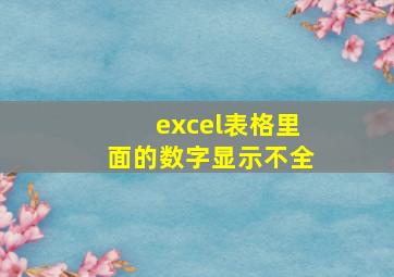 excel表格里面的数字显示不全