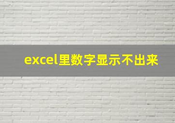 excel里数字显示不出来