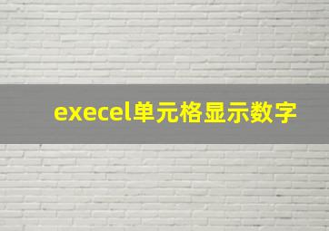 execel单元格显示数字