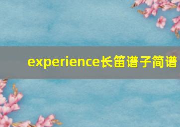 experience长笛谱子简谱