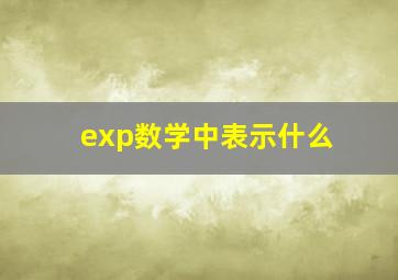 exp数学中表示什么