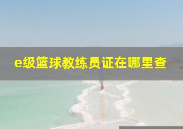 e级篮球教练员证在哪里查