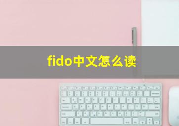 fido中文怎么读