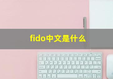 fido中文是什么